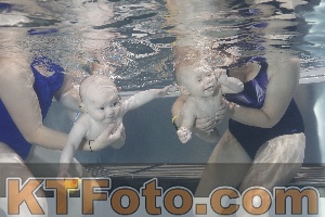 Photo 4260814