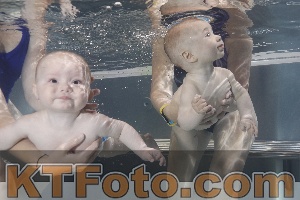 Photo 4260816