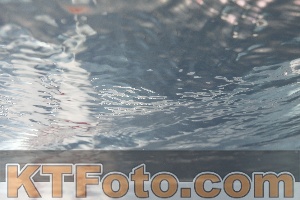 Foto 4260819