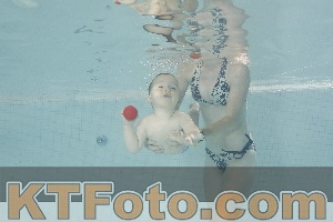 Foto 4260940
