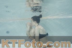 Foto 4260958