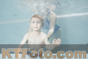 Foto 4261038