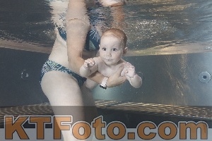 Foto 4261064