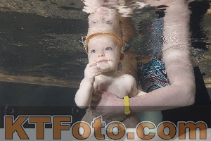 Foto 4261065