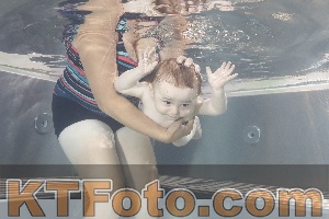 Photo 4261179