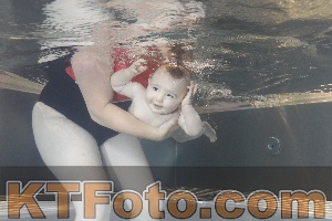 Photo 4261182