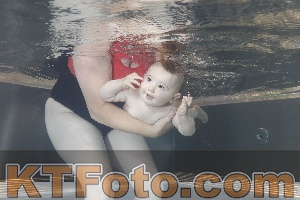 Photo 4261183