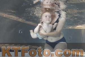 Photo 4261189