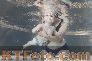 Photo 4261191