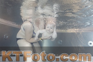 Photo 4261192