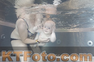 Photo 4261195