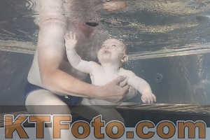 Photo 4261201