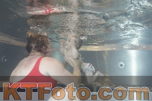 Photo 4261208