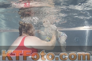 Photo 4261210