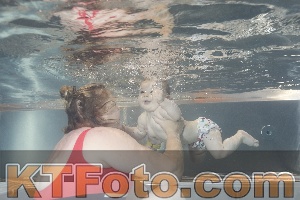 Photo 4261211