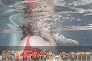 Photo 4261212