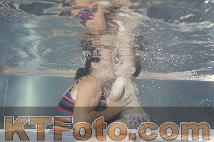 Photo 4261218