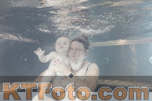 Photo 4261221