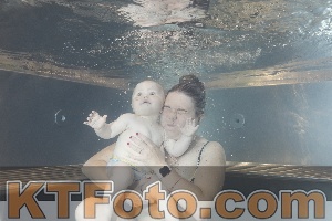 Photo 4261222