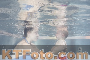 Photo 4261233