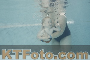 Photo 4261274