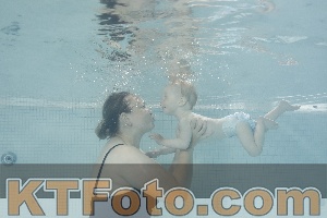 Photo 4261298