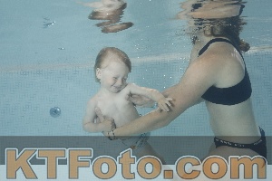 Photo 4261438