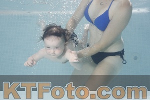 Photo 4261439
