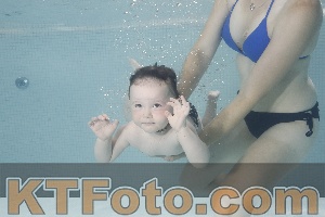 Photo 4261440