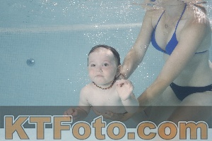 Photo 4261441