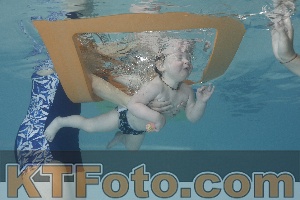 Foto 4261475