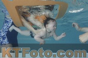 Foto 4261476