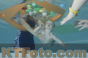Foto 4261479
