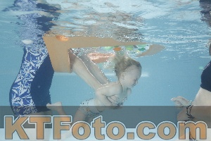 Foto 4261480