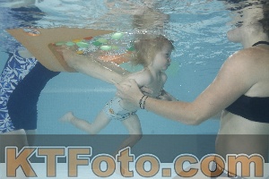 Foto 4261483