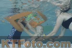 Foto 4261485