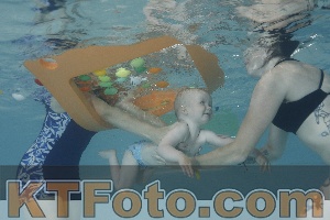 Foto 4261486