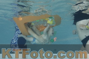 Foto 4261488