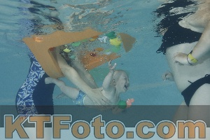 Foto 4261489