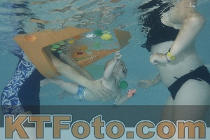 Foto 4261490