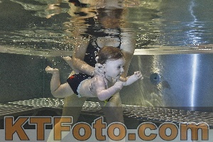 Foto 4297596