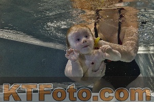 Foto 4297979