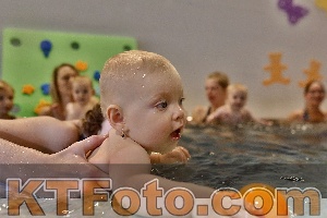 Photo 4298017