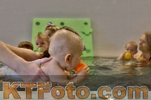 Photo 4298038