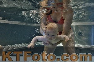 Photo 4298057