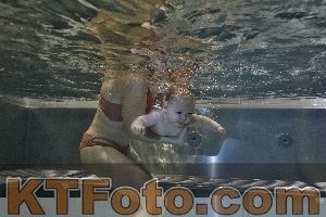 Photo 4298060