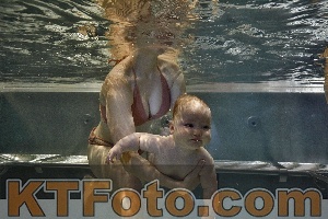 Photo 4298063