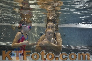 Photo 4298095
