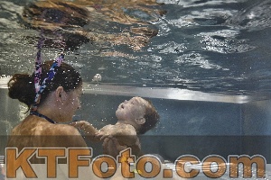 Photo 4298122