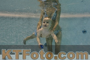 Photo 4298149